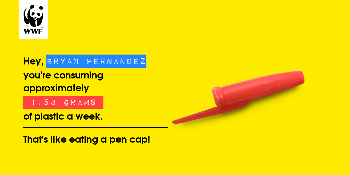 Plastic diet result for Bryan Hernandez