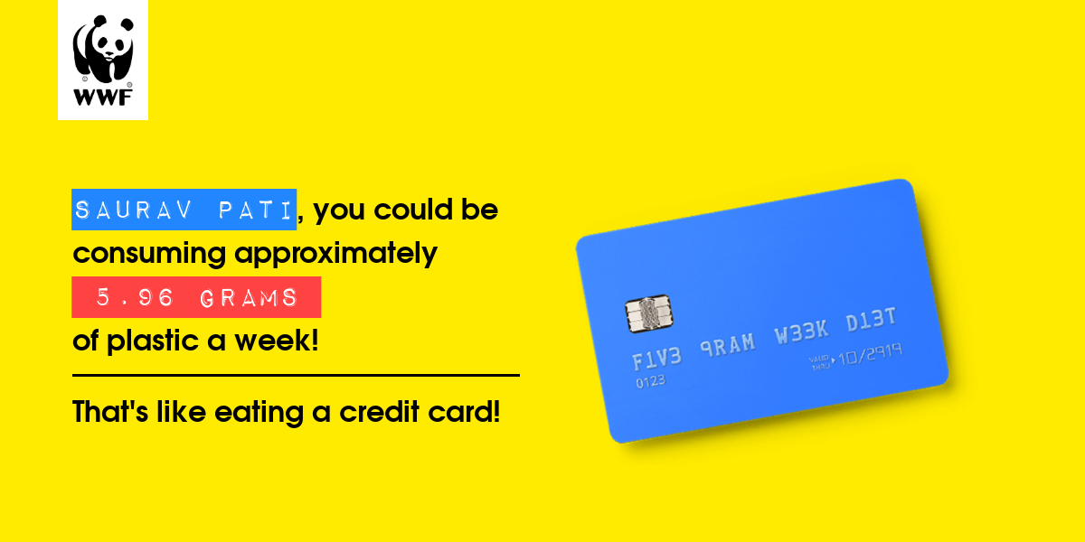 Plastic diet result for Saurav pati