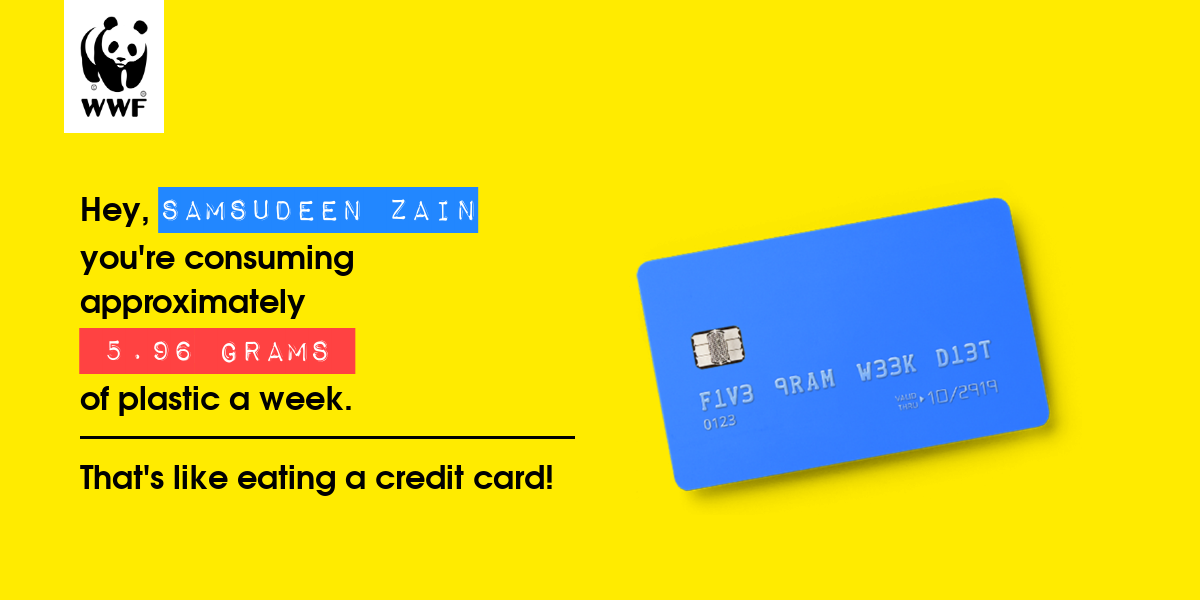 Plastic diet result for SAmsudeen zain