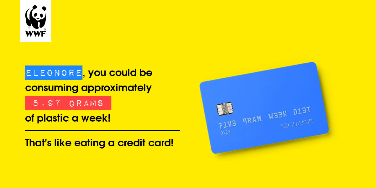 Plastic diet result for Eleonore