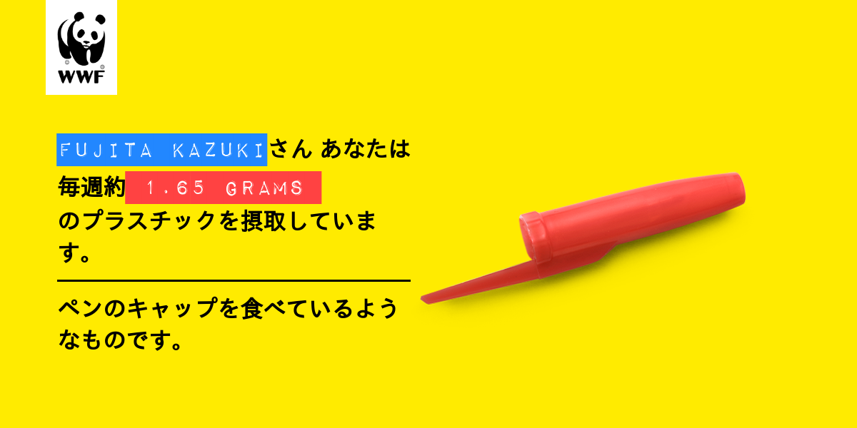 Plastic diet result for FUJITA KAZUKI