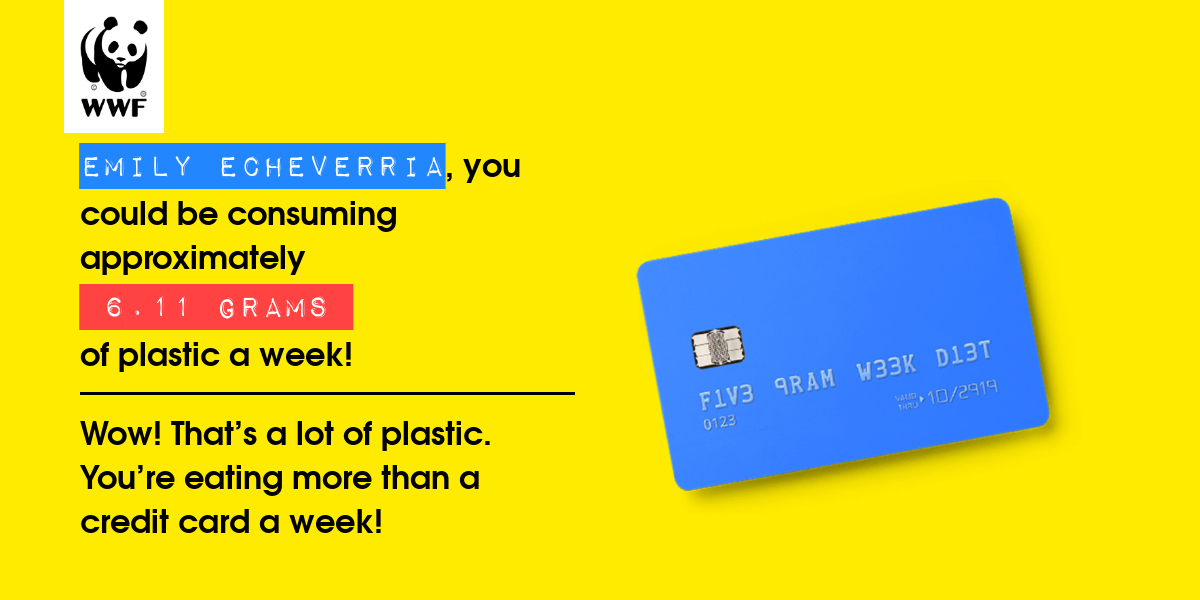 Plastic diet result for Emily echeverria