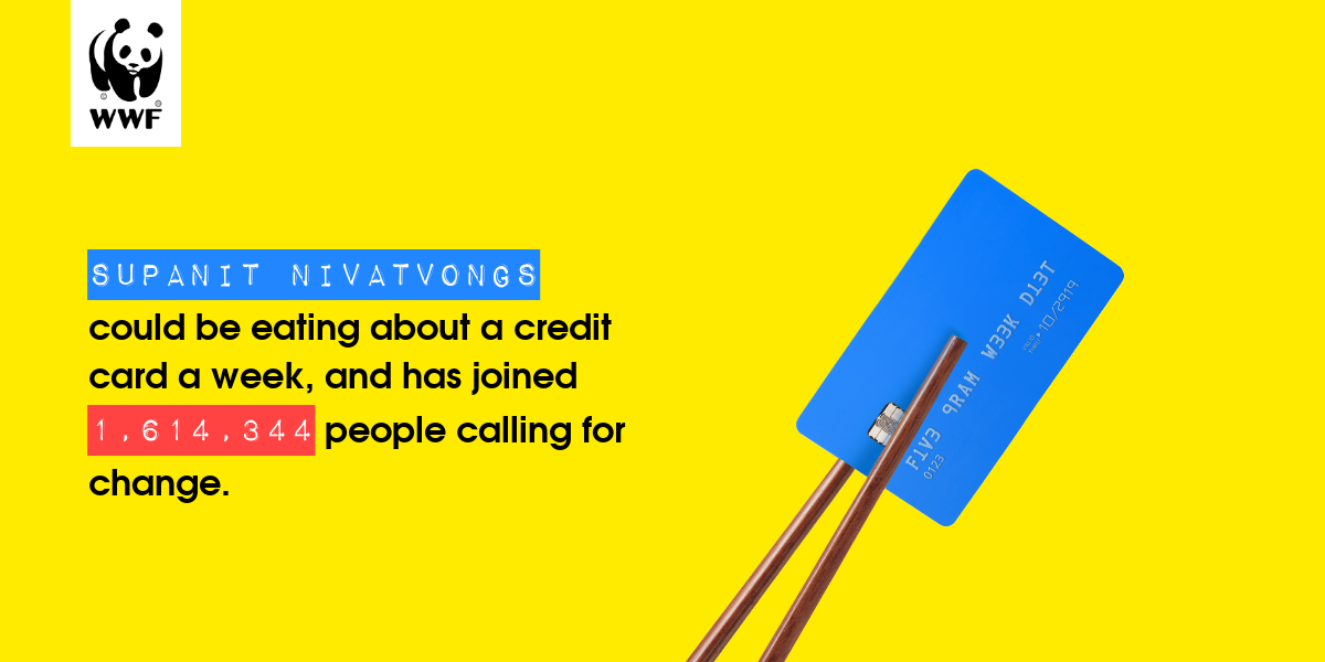 Plastic diet result for Supanit Nivatvongs 