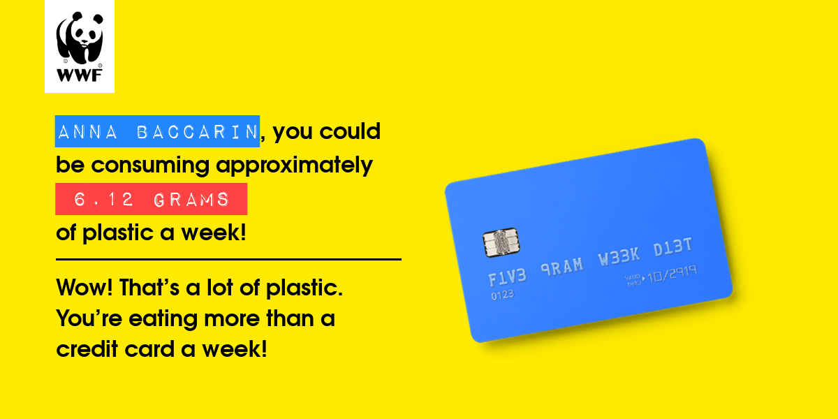 Plastic diet result for ANNA BACCARIN