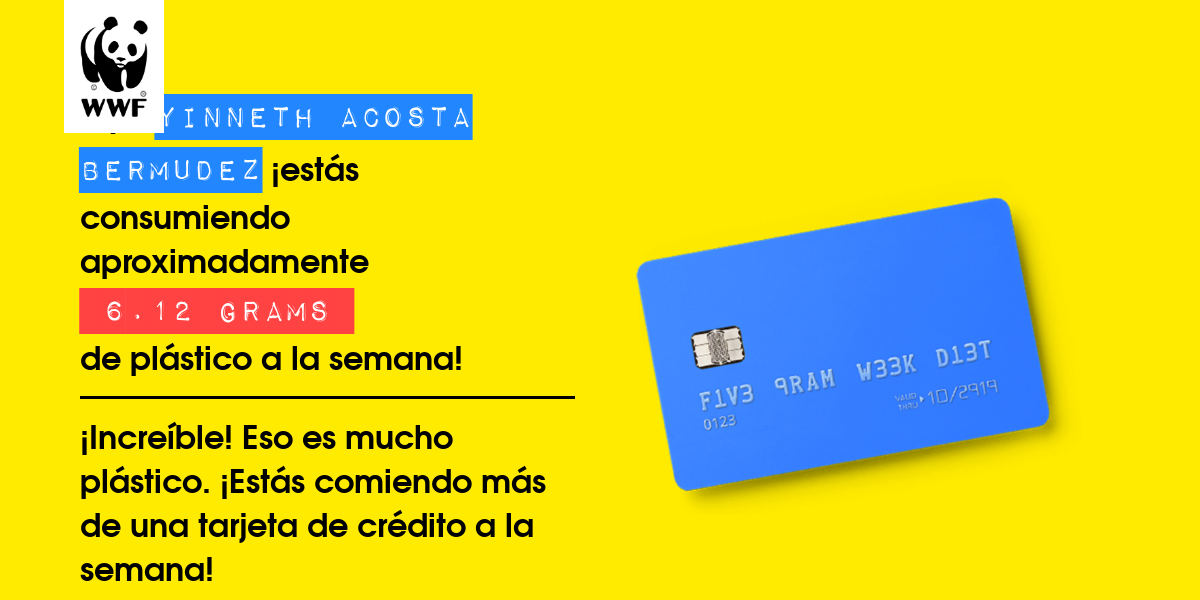 Plastic diet result for yinneth acosta bermudez