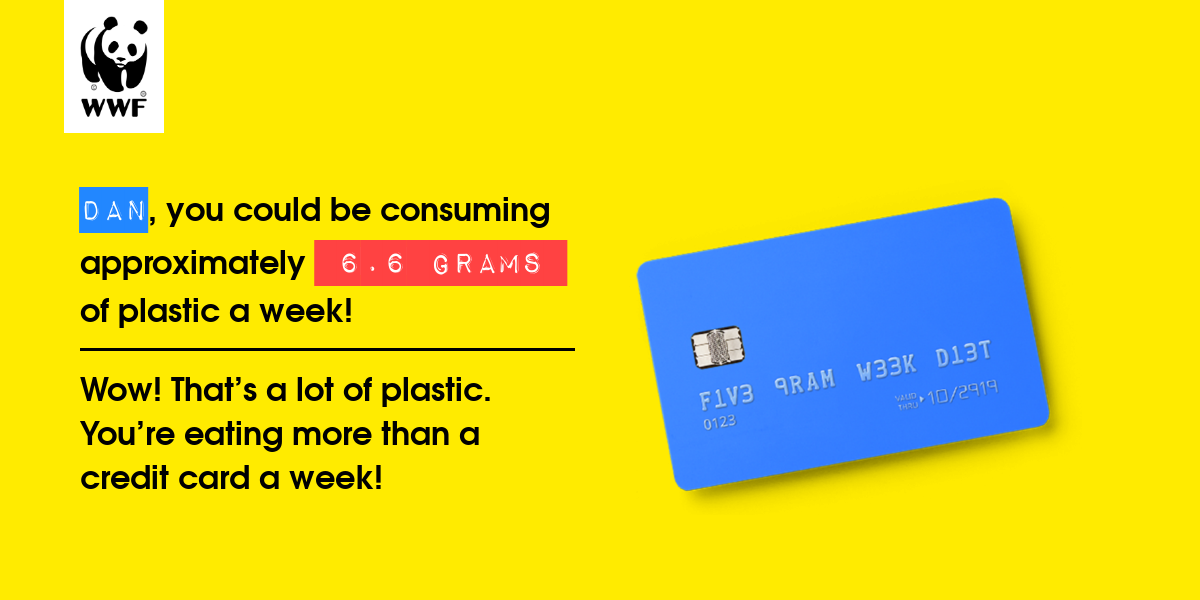 Plastic diet result for Dan