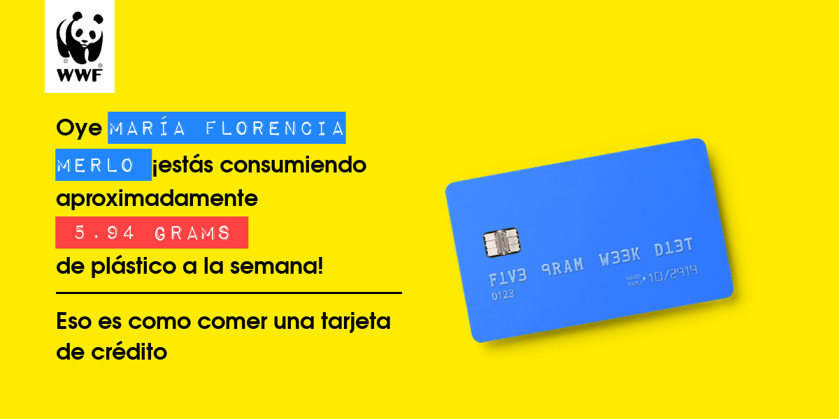 Plastic diet result for María Florencia Merlo 