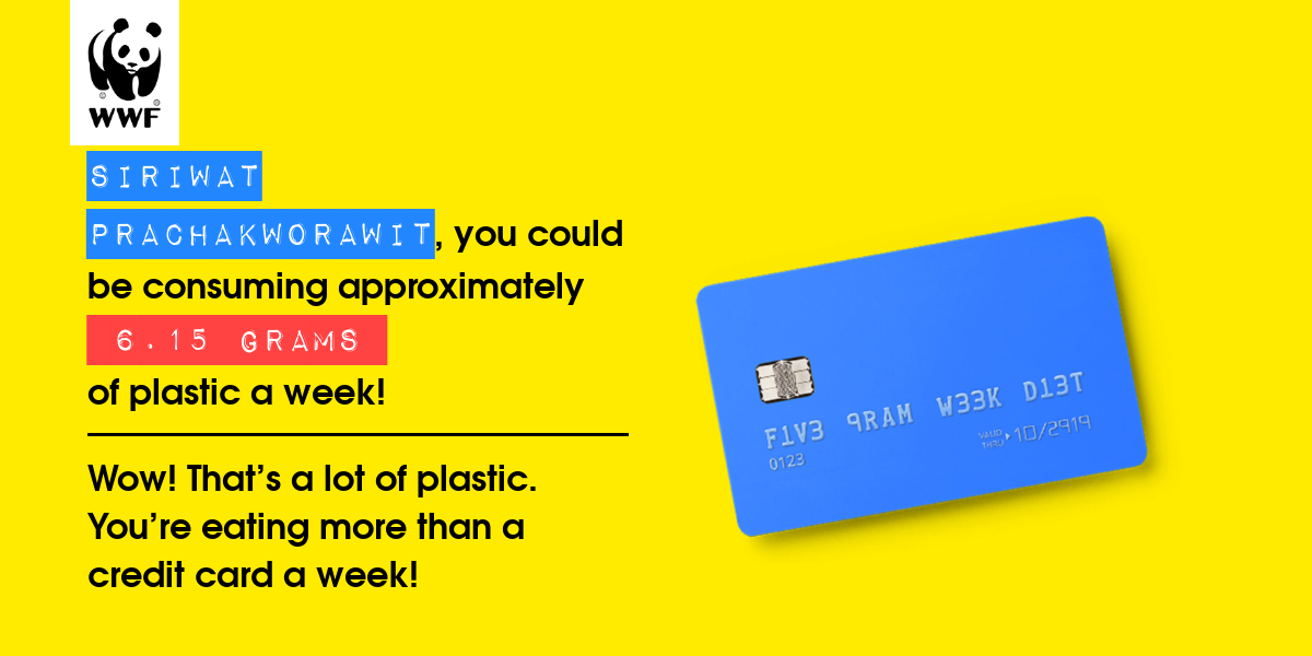 Plastic diet result for Siriwat Prachakworawit