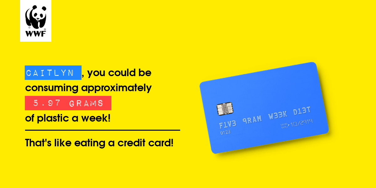 Plastic diet result for Caitlyn 