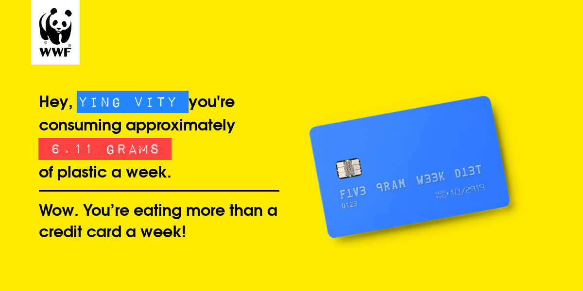 Plastic diet result for Ying Vity 