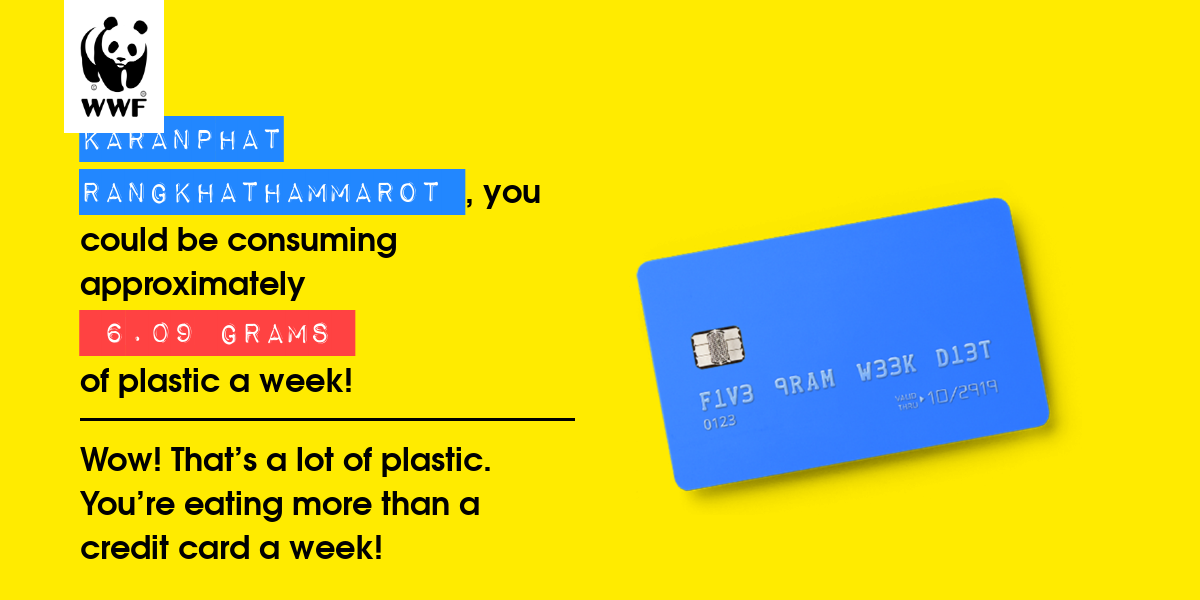 Plastic diet result for Karanphat rangkhathammarot 