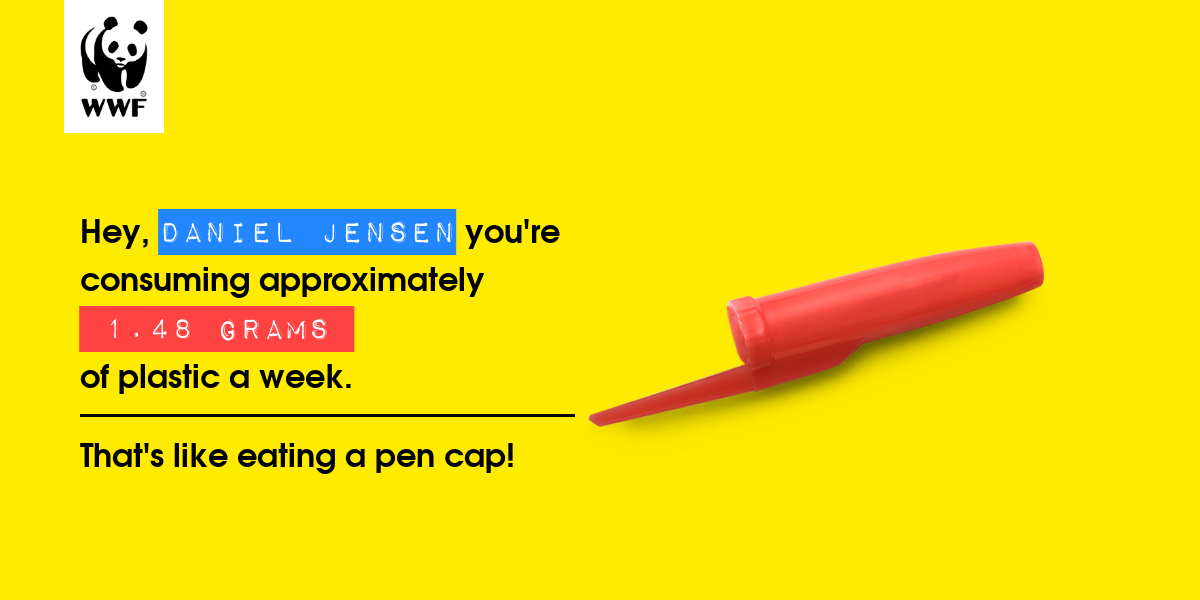 Plastic diet result for daniel jensen