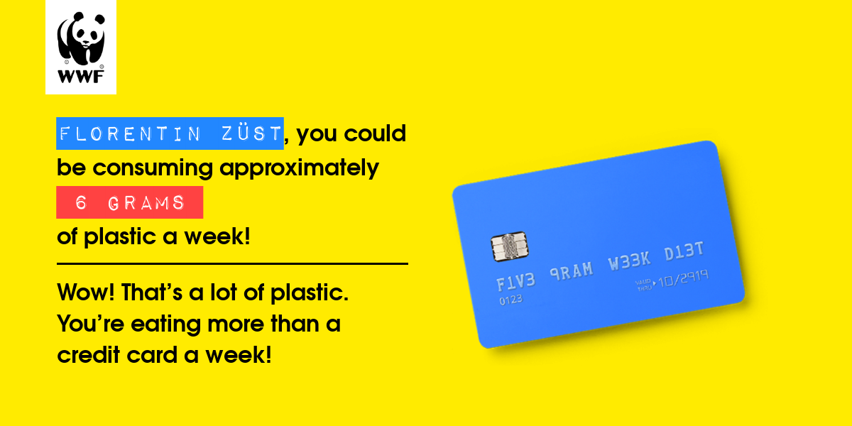 Plastic diet result for FLORENTIN Züst