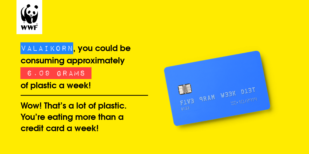 Plastic diet result for Valaikorn