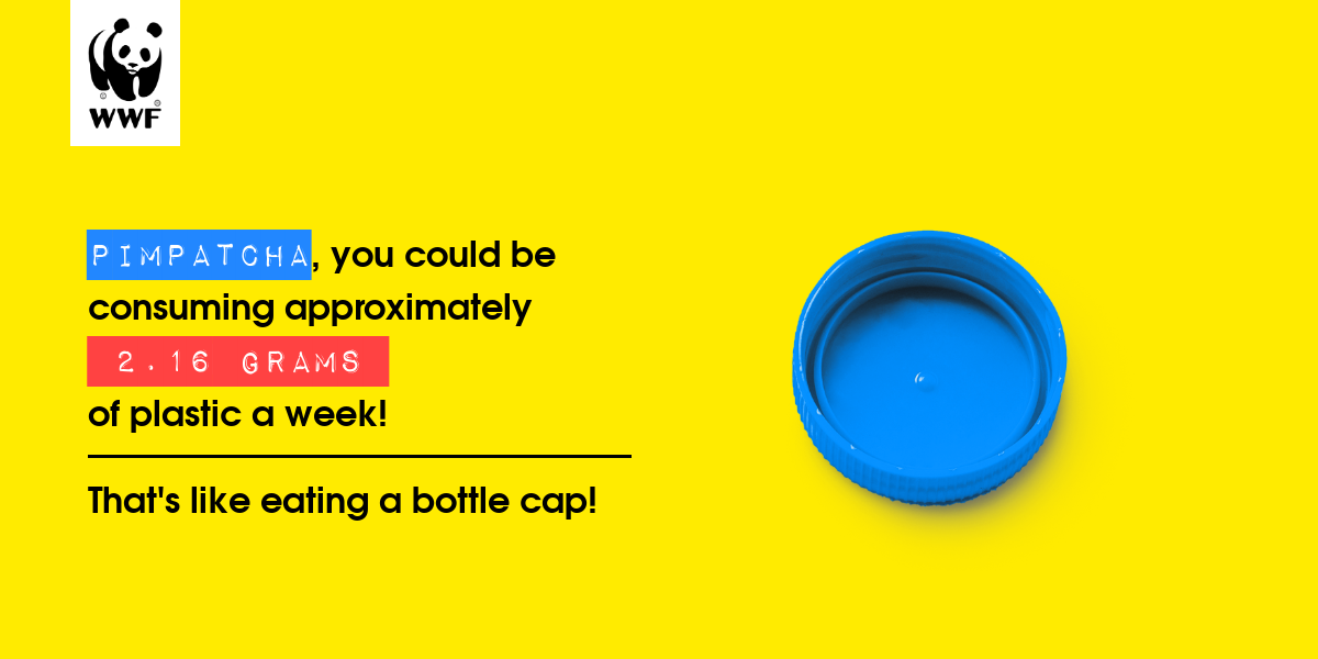 Plastic diet result for PimpatCha