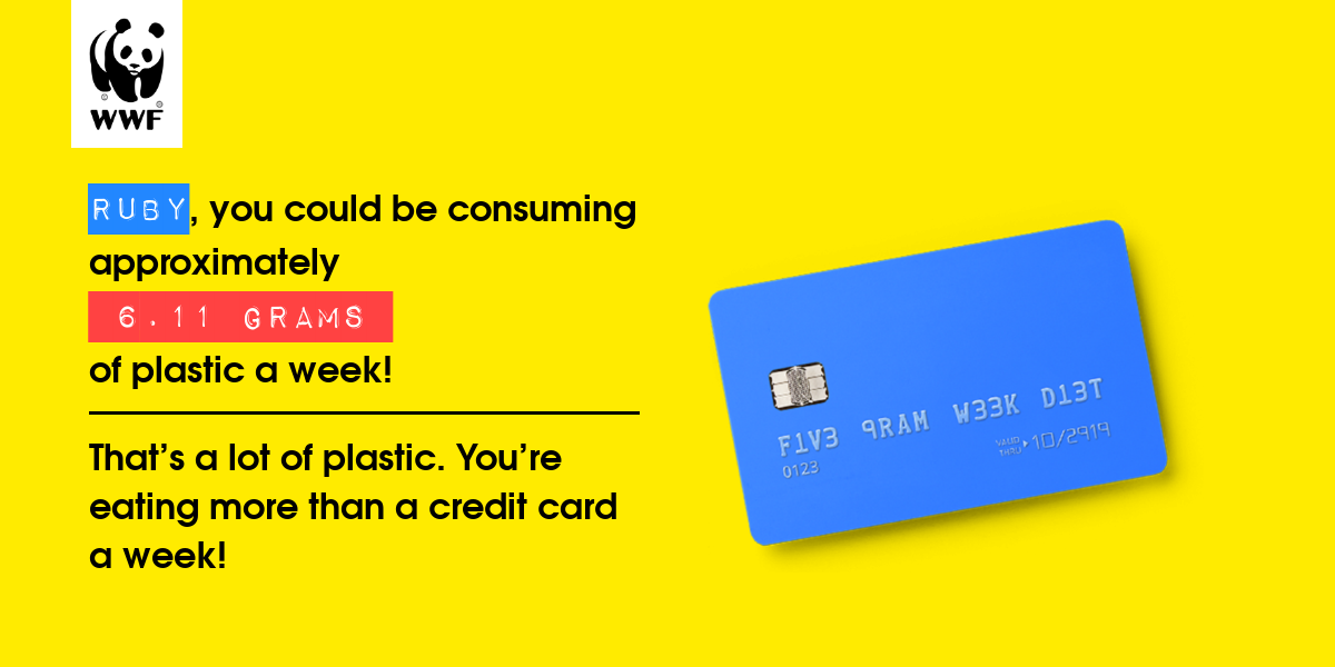 Plastic diet result for Ruby