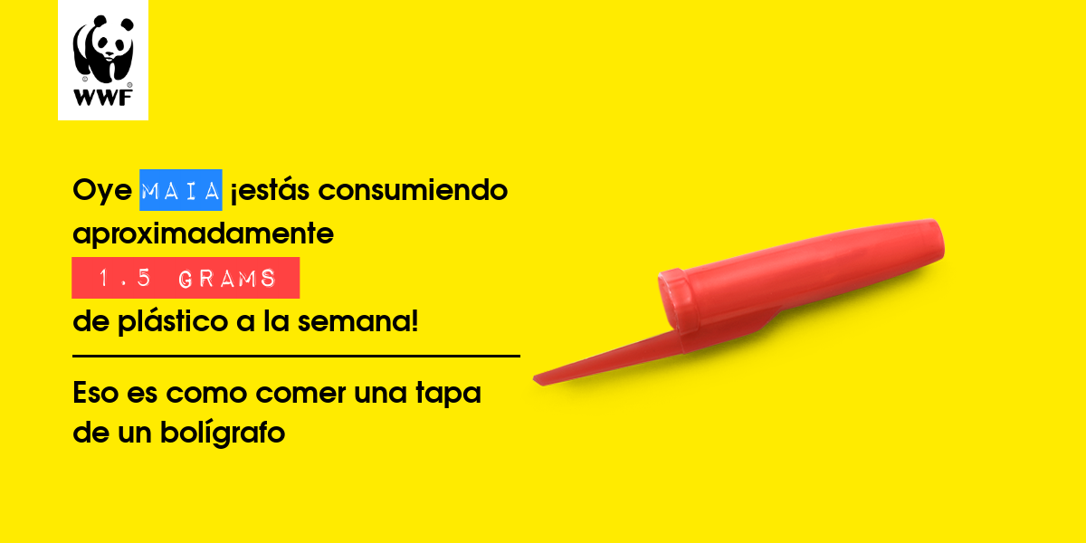 Plastic diet result for Maia