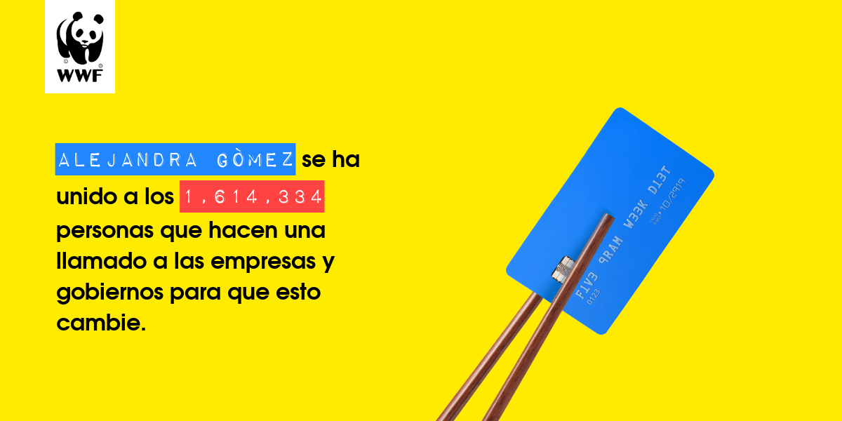 Plastic diet result for Alejandra Gòmez