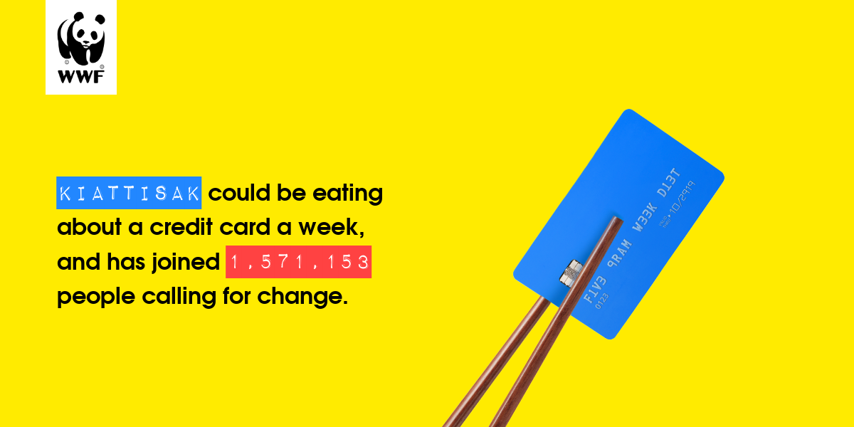 Plastic diet result for Kiattisak