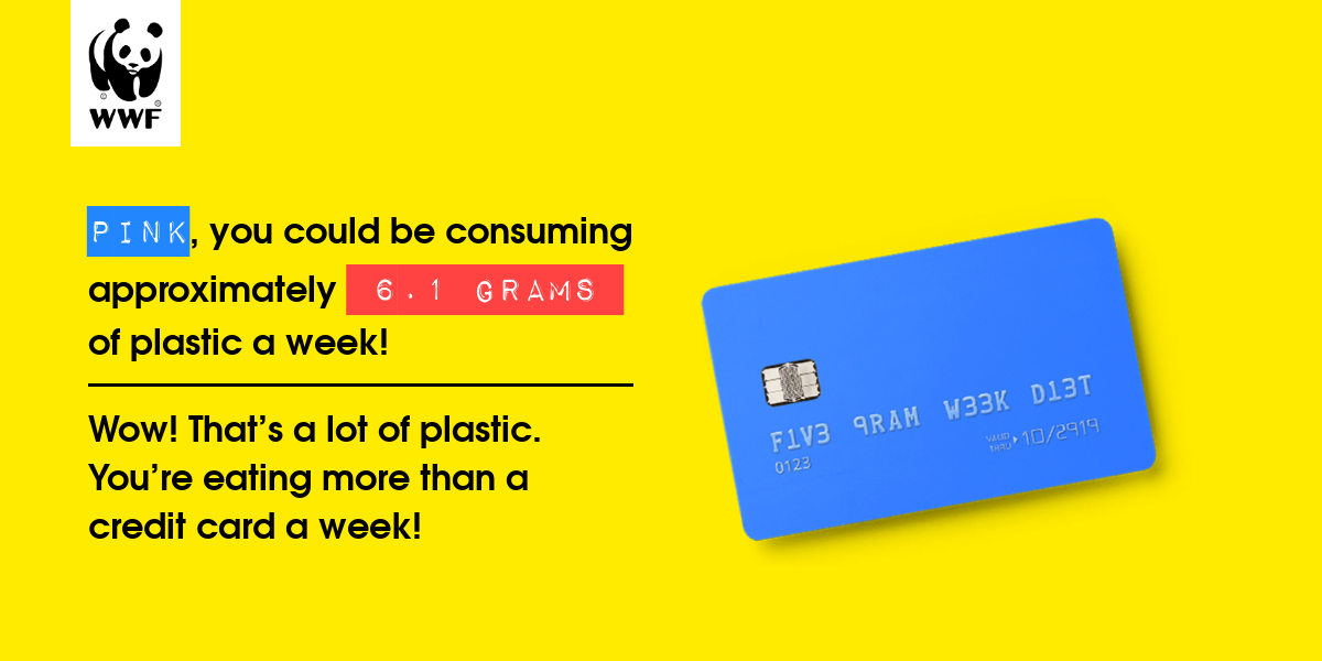 Plastic diet result for Pink