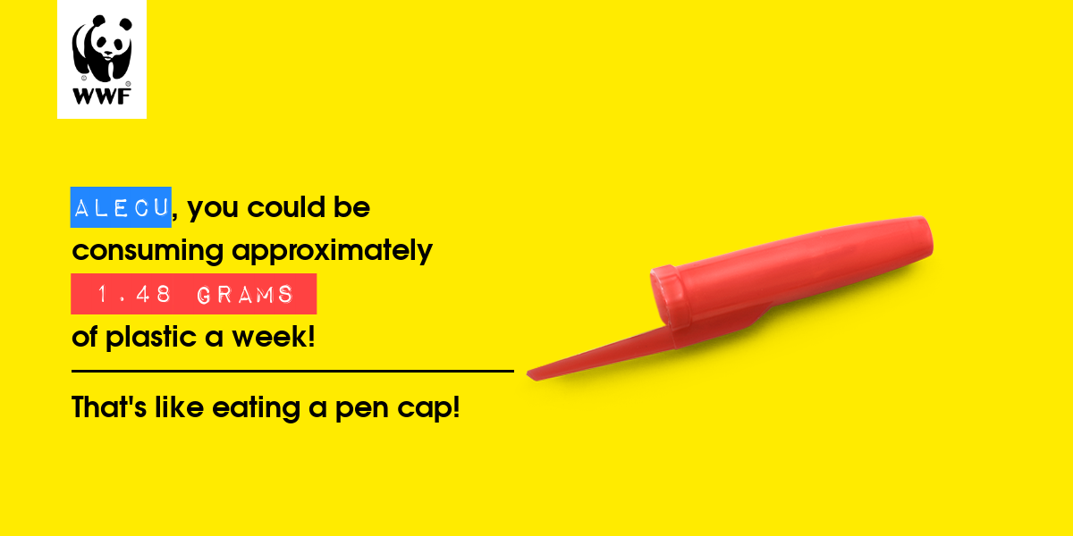 Plastic diet result for Alecu