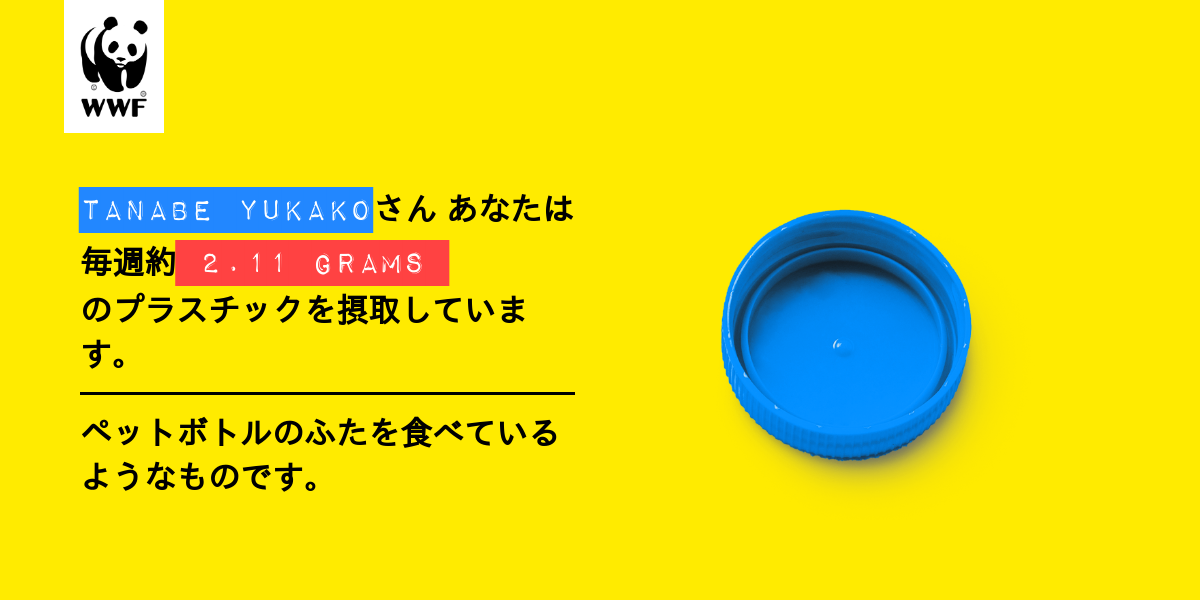 Plastic diet result for tanabe yukako