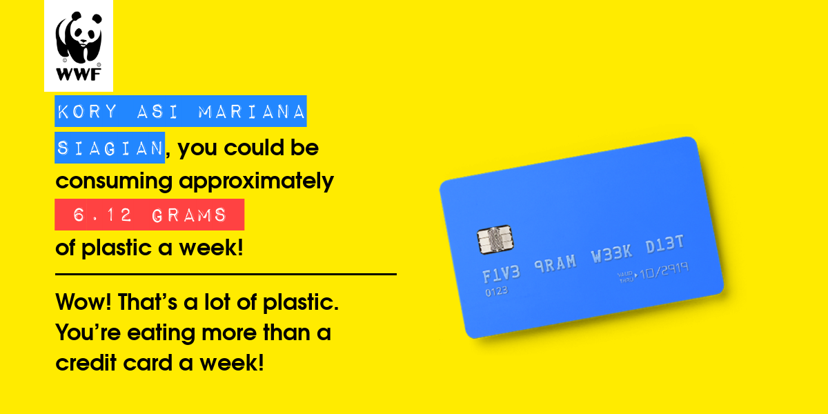 Plastic diet result for Kory asi mariana siagian