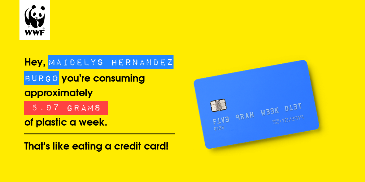 Plastic diet result for Maidelys Hernandez Burgo