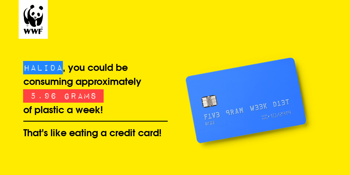 Plastic diet result for Halida