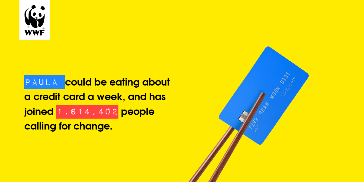 Plastic diet result for Paula 