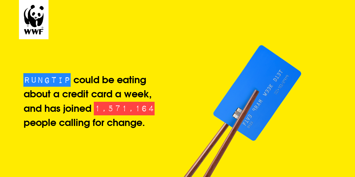 Plastic diet result for rungtip