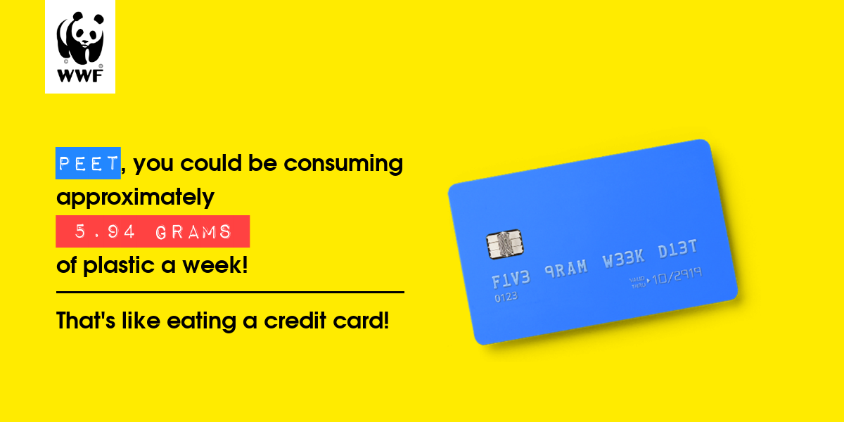 Plastic diet result for peet