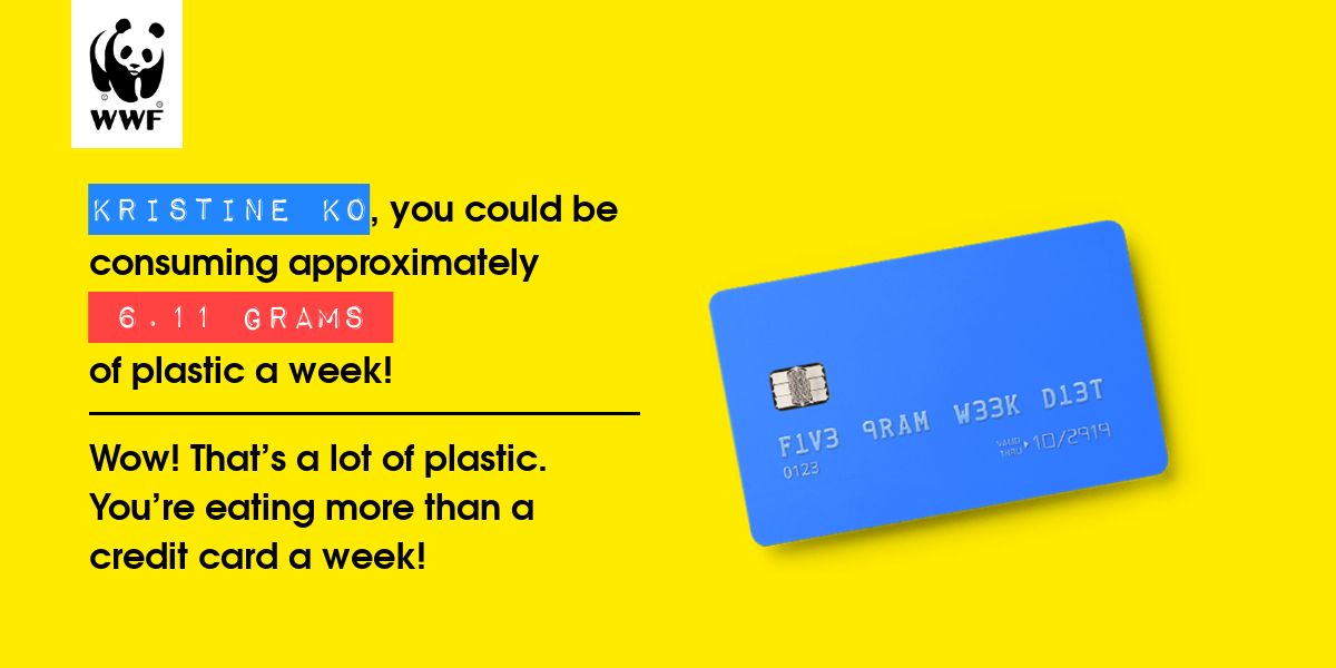 Plastic diet result for Kristine Ko