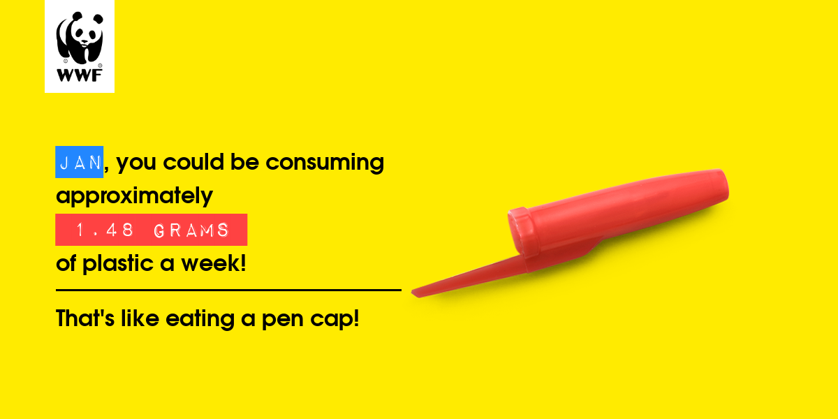 Plastic diet result for Jan