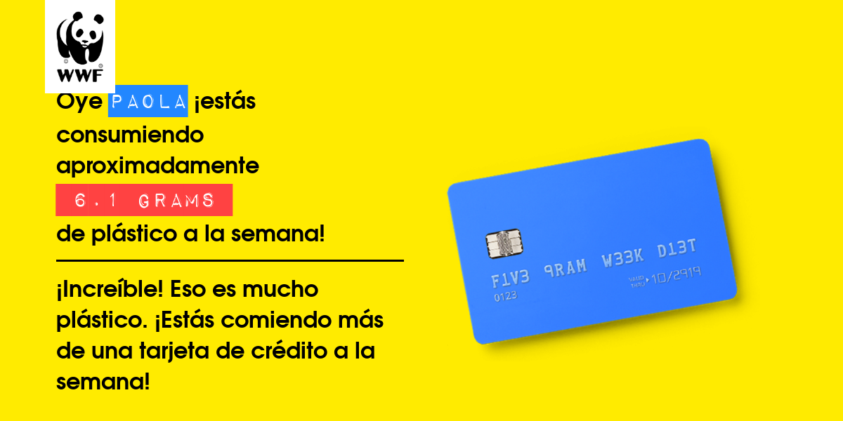 Plastic diet result for Paola