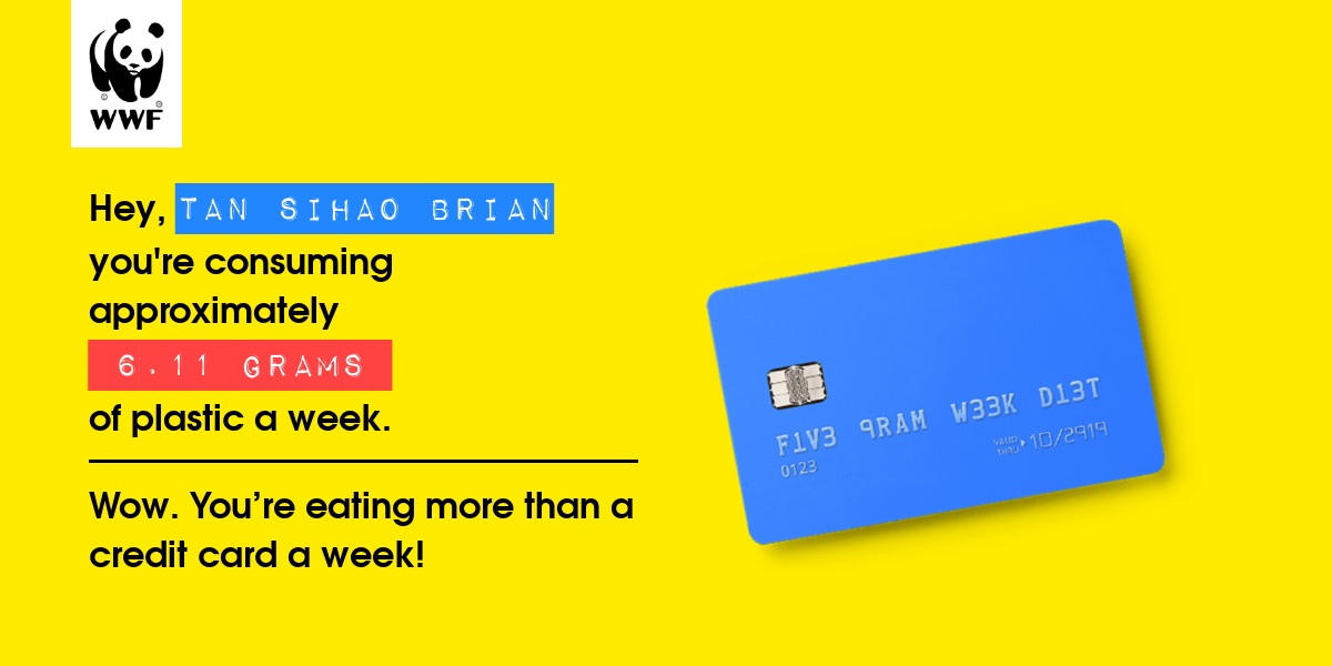 Plastic diet result for Tan sihao brian