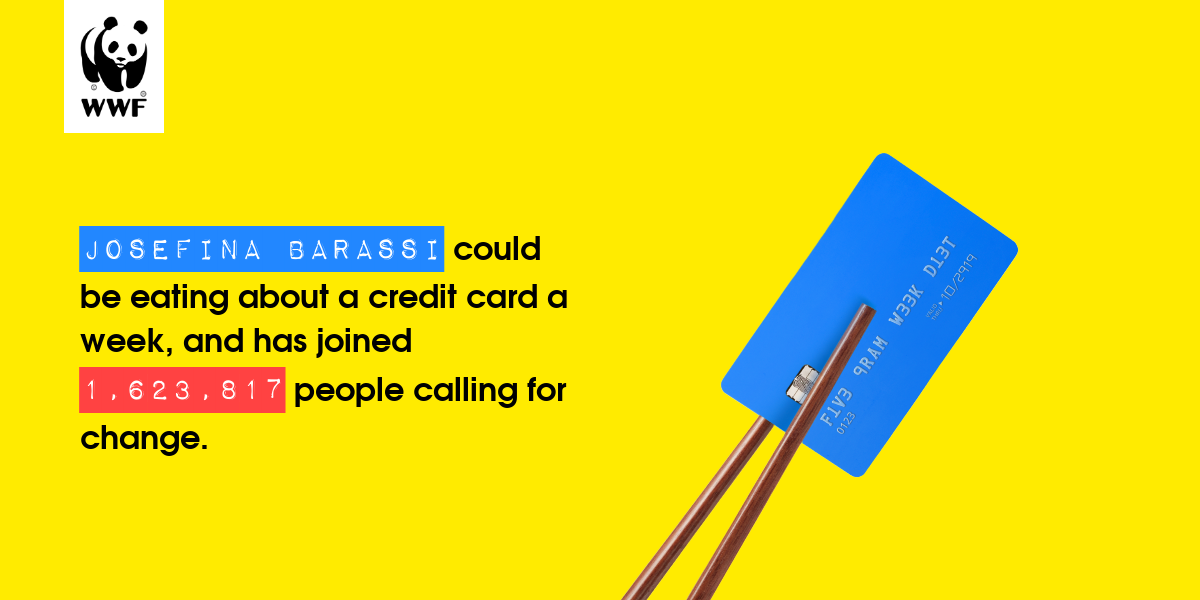 Plastic diet result for Josefina Barassi