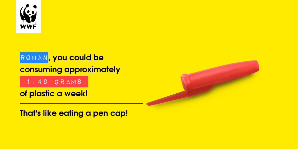 Plastic diet result for RohaN