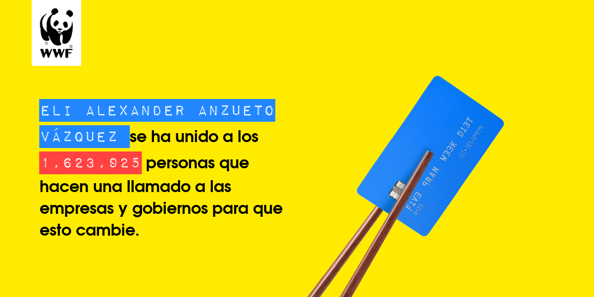 Plastic diet result for Eli Alexander Anzueto Vázquez 
