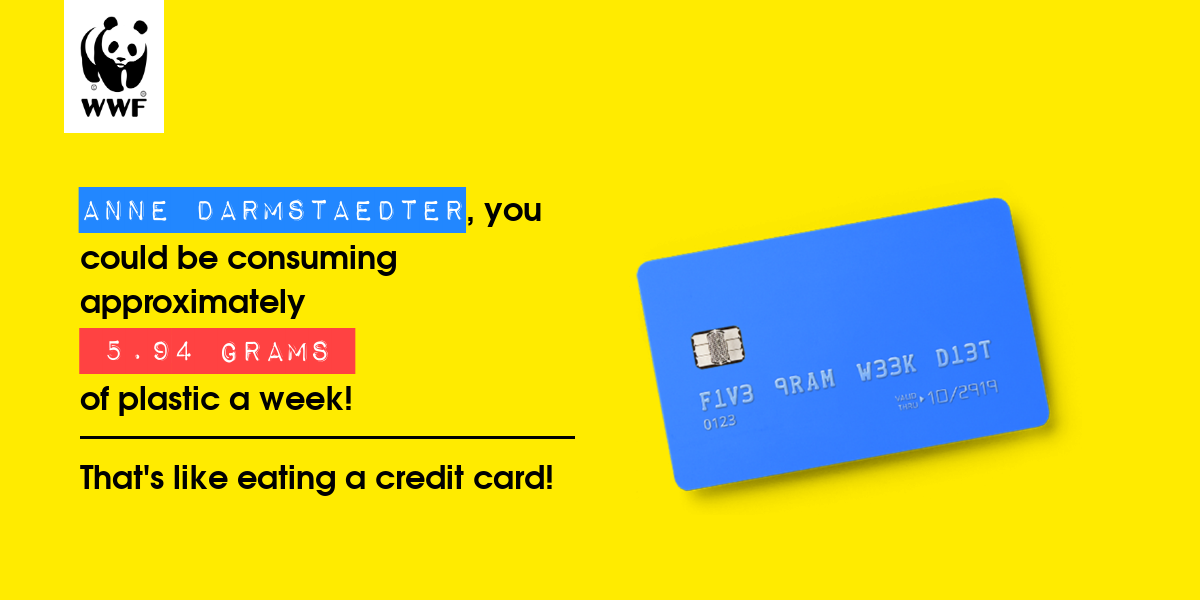 Plastic diet result for anne darmstaedter