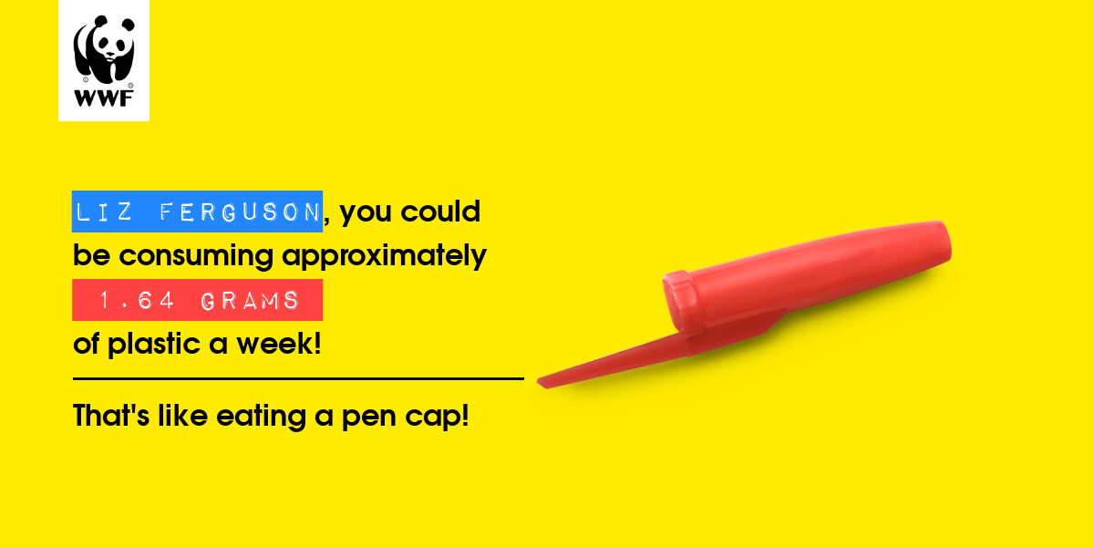 Plastic diet result for Liz Ferguson