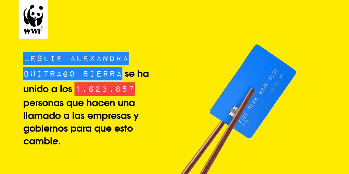 Plastic diet result for Leslie Alexandra Buitrago Sierra