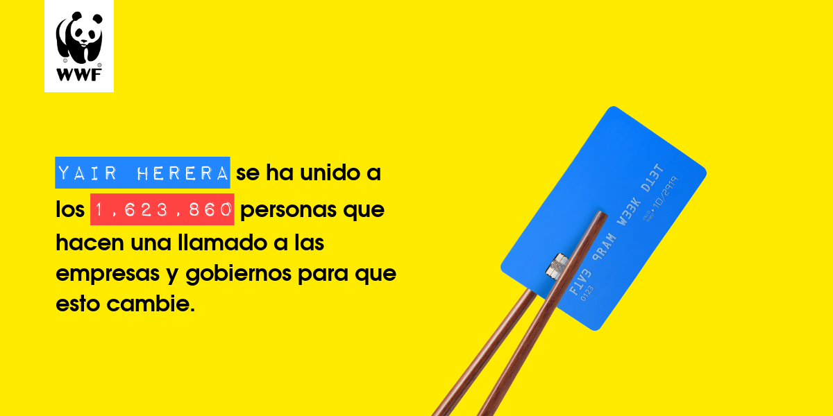 Plastic diet result for Yair herera