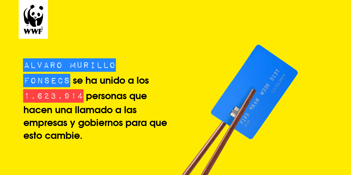 Plastic diet result for Alvaro Murillo Fonsecs