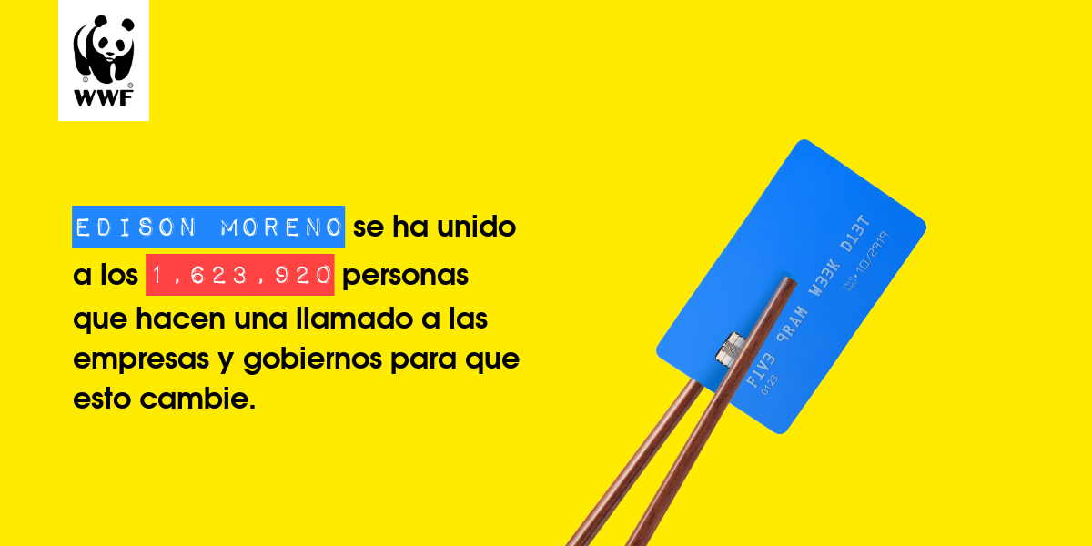 Plastic diet result for Edison Moreno