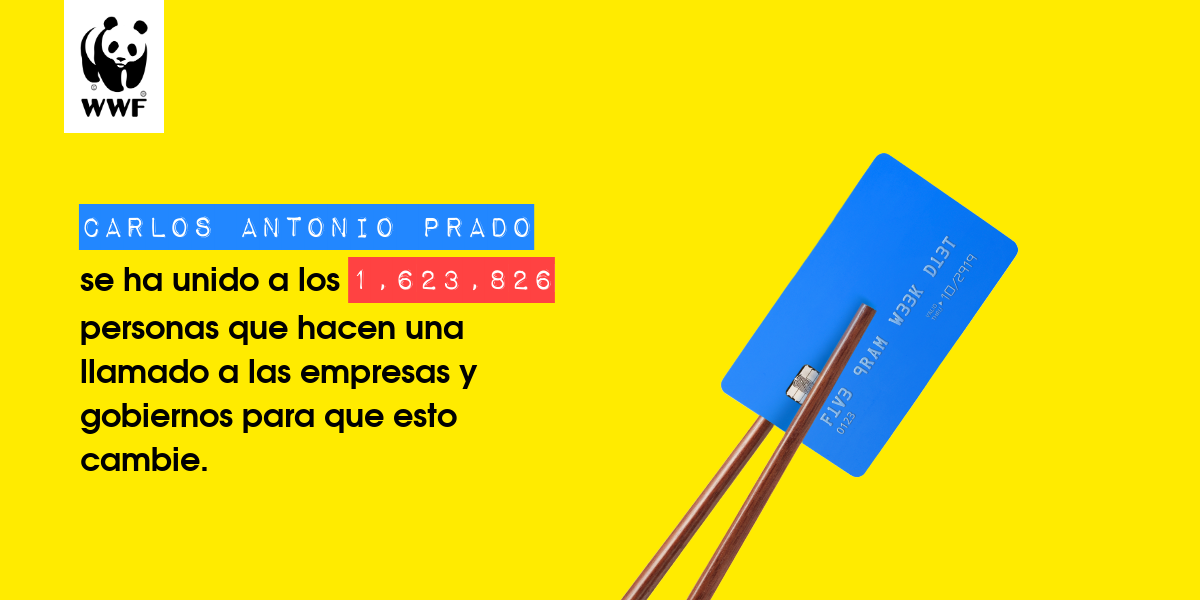 Plastic diet result for Carlos Antonio prado