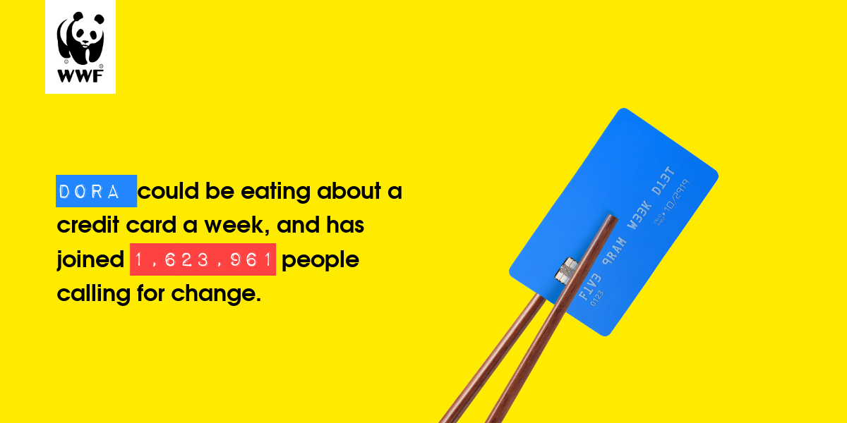 Plastic diet result for Dora 