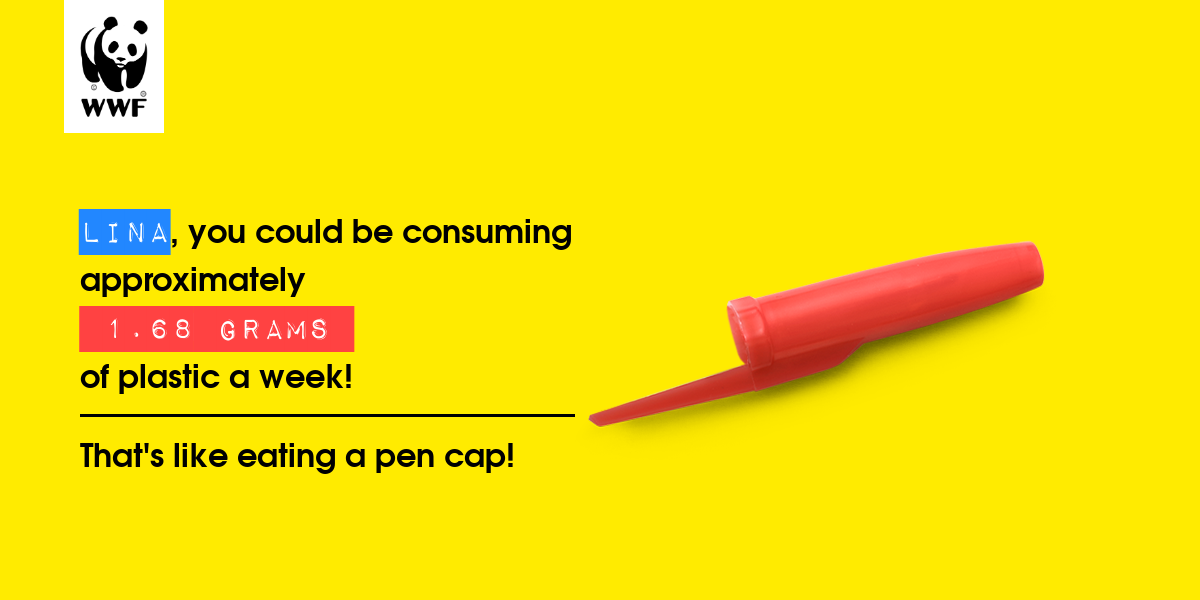 Plastic diet result for Lina