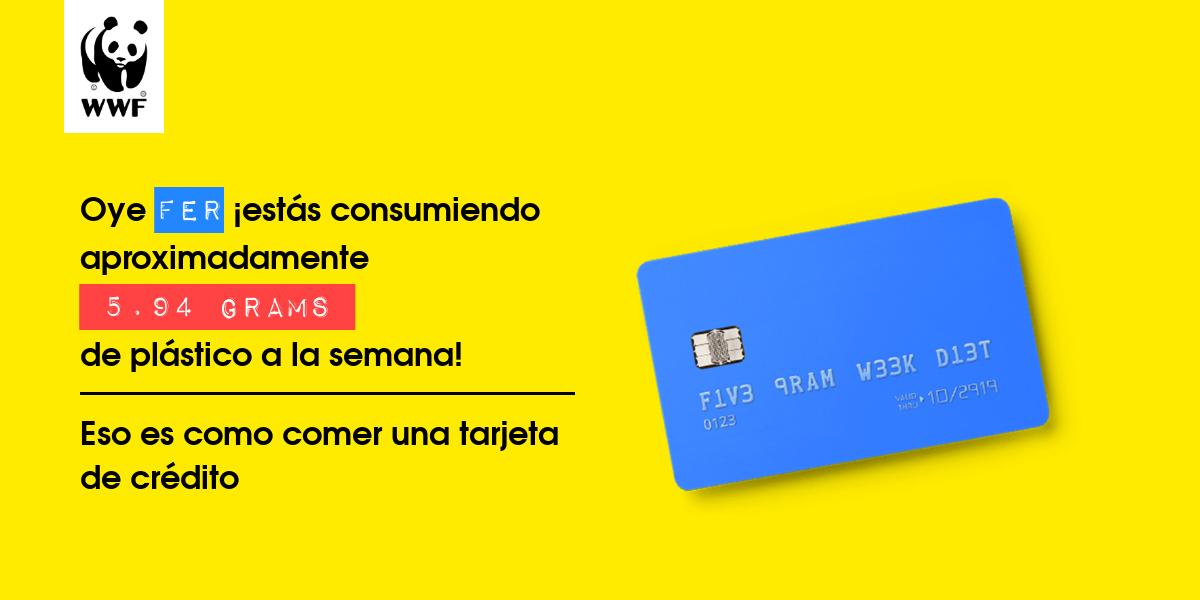 Plastic diet result for FEr