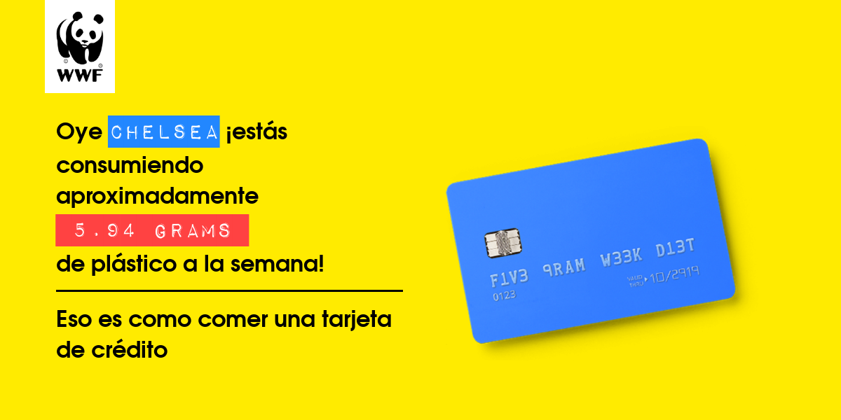 Plastic diet result for Chelsea